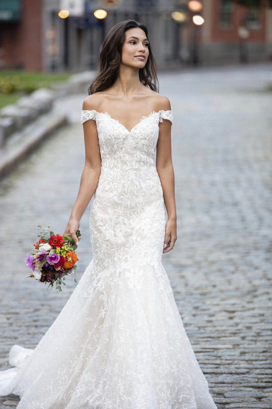 C529 Allure